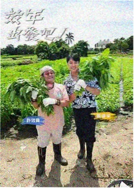 无脚本午后封面：访谈现场的自然光